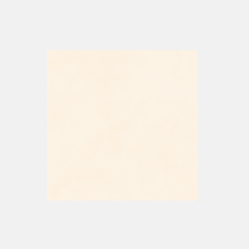 Tile | 600x600 | Matt Anti-Slip | FH66801