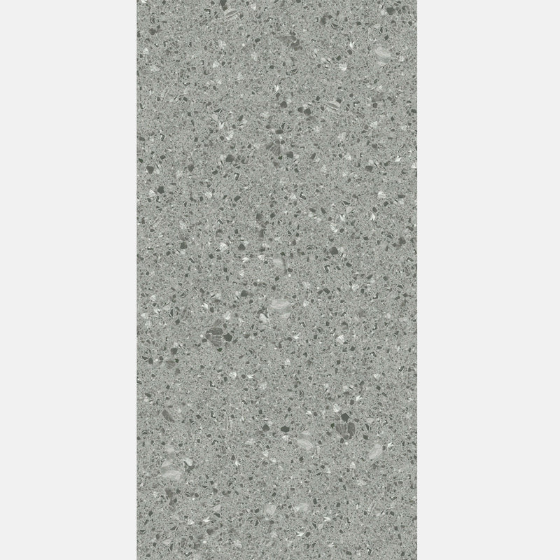 Tile | 600x1200 | terrazzo | JH12701