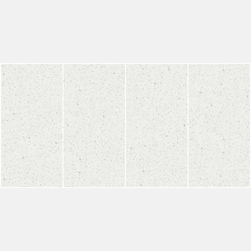 Tile | 600x1200 | terrazzo | JH12702