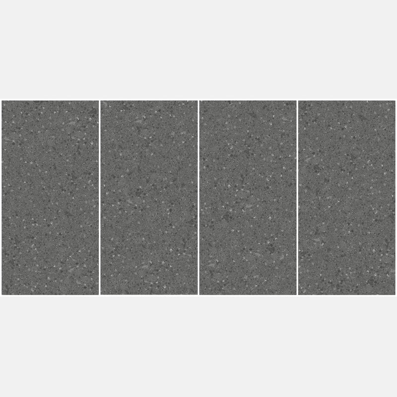 Tile | 600x1200 | terrazzo | JH12707