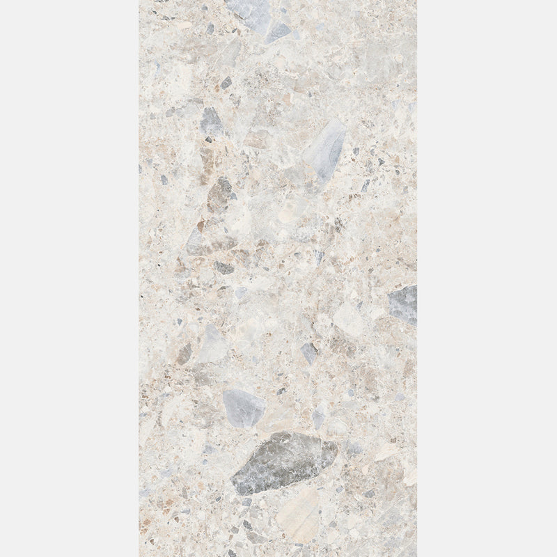 Tile | 600x1200 | Terrazzo | MF12601