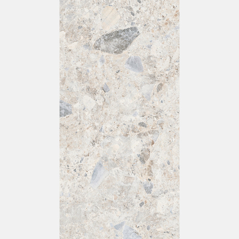 Tile | 600x1200 | Terrazzo | MF12601