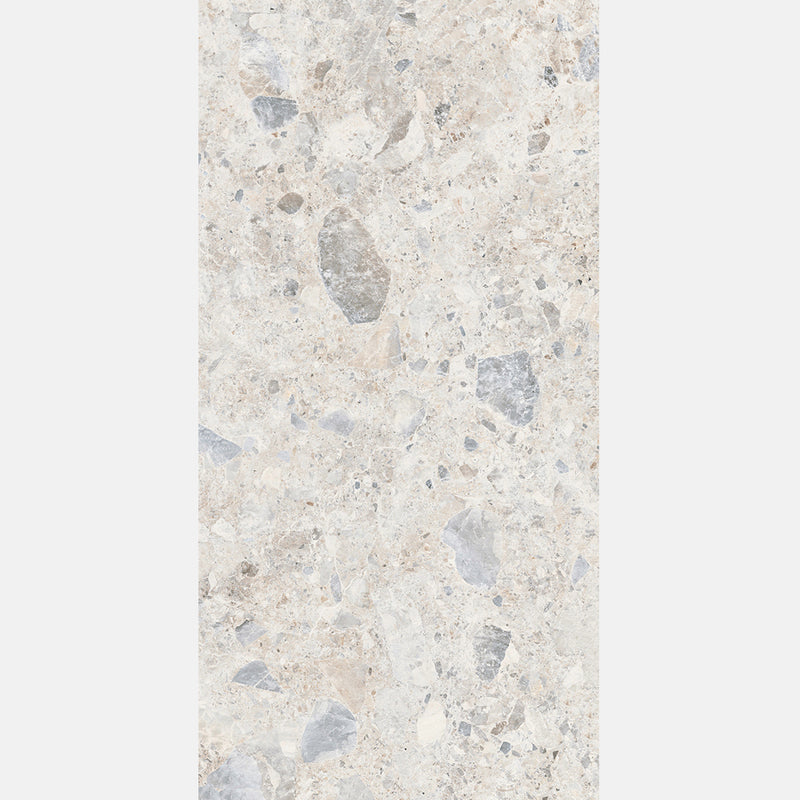 Tile | 600x1200 | Terrazzo | MF12601