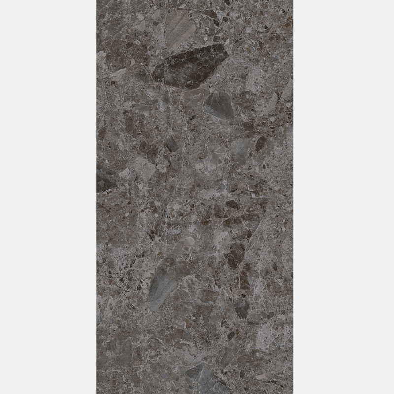 Tile | 600x1200 | Terrazzo | MF12609