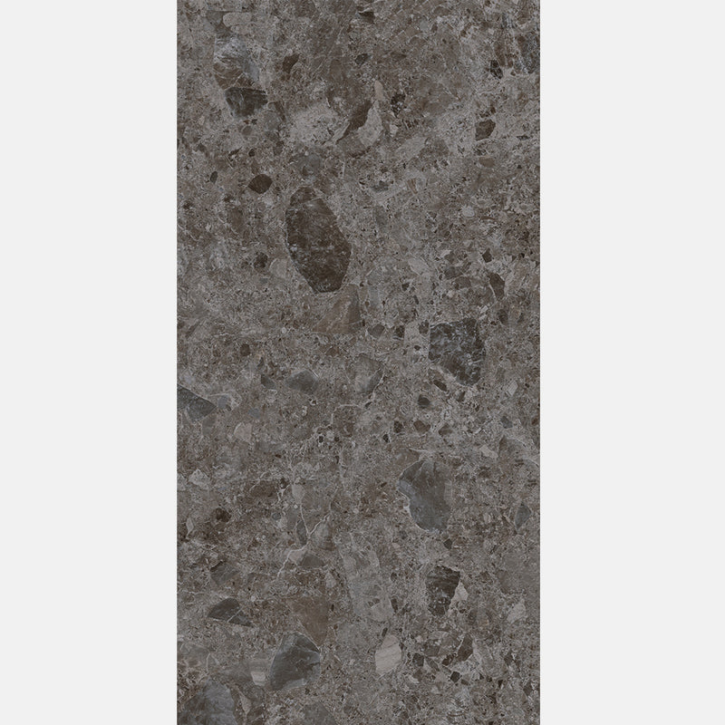 Tile | 600x1200 | Terrazzo | MF12609
