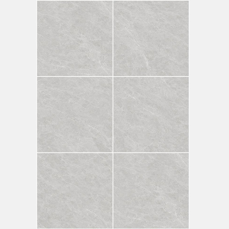 Tile | 800x800 | Matt Finish | NS832M