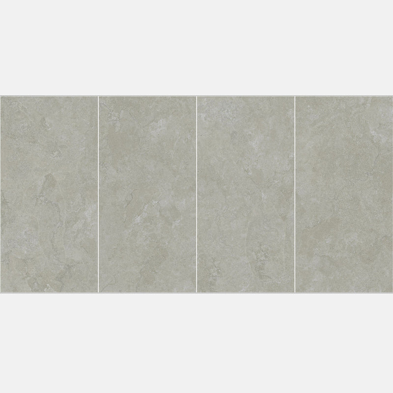 Tile | 600x1200 | Portland | R612S13
