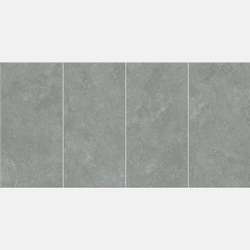 Tile | 600x1200 | Portland | R612S14